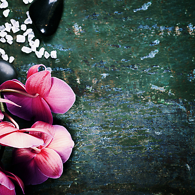 포토 JPG 해외이미지 실내 근접촬영 사람없음 아로마 아로마테라피 스톤 난초꽃 카피스페이스 초록배경 입욕소금 해외202004 해외포토 꽃 뷰포인트 백그라운드 내부 초록색 공백 미용용품 난초 소금 테라피 파일형식