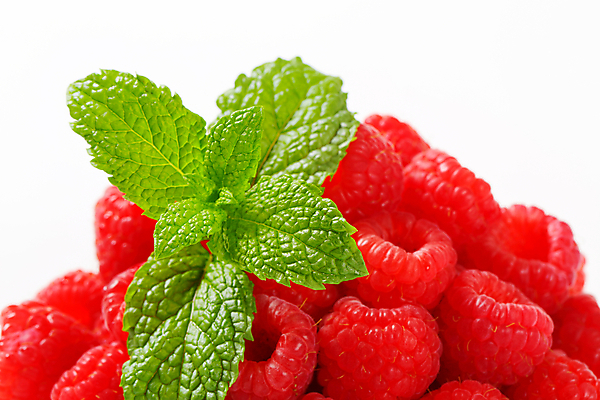 포토 JPG 해외이미지 열매 사람없음 빨간색 쌓기 허브 산딸기 베리 해외202004 해외202105 해외포토 식물 컬러 과일 모션 파일형식