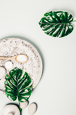 포토 JPG 해외이미지 그릇 잎 실내 사람없음 숟가락 흰배경 아로마 아로마테라피 스톤 해외202004 해외포토 식물 식기 백그라운드 수저 내부 흰색 테라피 파일형식