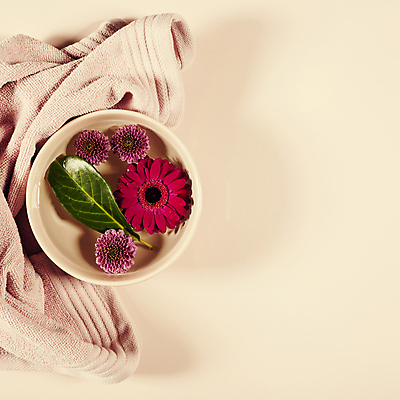 포토 JPG 해외이미지 그릇 꽃 잎 실내 사람없음 수건 스파용품 거베라 아로마테라피 카피스페이스 분홍색배경 해외202004 해외포토 식물 식기 분홍색 백그라운드 내부 위생용품 스파 공백 오브젝트 테라피 파일형식