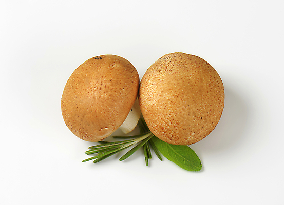 포토 JPG 해외이미지 스튜디오촬영 식재료 실내 사람없음 흰배경 로즈메리 그물버섯 세이지 해외202004 해외202105 해외포토 백그라운드 내부 버섯 흰색 허브 파일형식