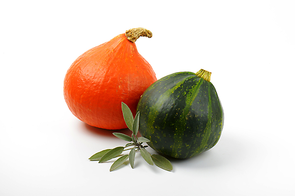 포토 JPG 해외이미지 스튜디오촬영 식물 음식 잎 채소 오렌지 호박 사람없음 장식 초록색 할로윈 가을 나뭇가지 신선 원형 양념 작음 허브 향신료 흰배경 유기농 날것 박 추수감사절 국산 세이지 숙성 식용 해외202004 해외202105 해외포토 도형 나무 웰빙 계절 기독교 컬러 백그라운드 과일 실내 흰색 크기 향미료 파일형식