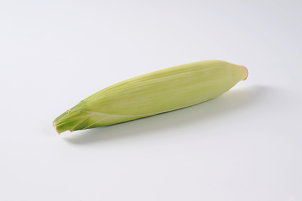 포토 JPG 해외이미지 실내 옥수수 사람없음 흰배경 옥수수껍질 해외202004 해외202105 해외포토 백그라운드 곡류 내부 껍질 흰색 파일형식