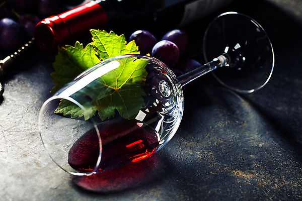 포토 JPG 해외이미지 1 백그라운드 와인잔 포도 사람없음 반사 와인 투명 슛 포도나무 해외202004 해외포토 술잔 과일 주류 과일나무 파일형식