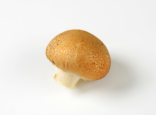 포토 JPG 해외이미지 스튜디오촬영 식재료 실내 사람없음 흰배경 양송이 해외202004 해외202105 해외포토 백그라운드 내부 버섯 흰색 파일형식