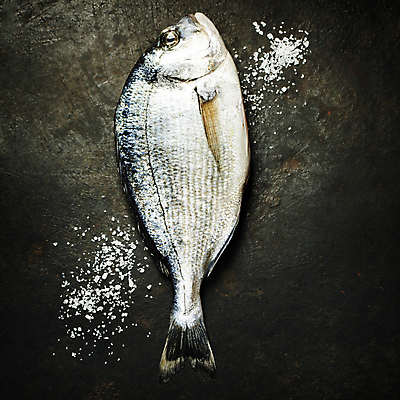 포토 JPG 해외이미지 검은배경 실내 어류 사람없음 하이앵글 해산물 소금 해외202004 해외포토 뷰포인트 백그라운드 내부 검은색 수중동물 파일형식