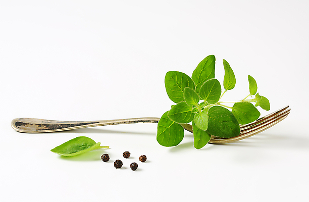 포토 JPG 해외이미지 스튜디오촬영 식물 음식 포크 잎 재료 사람없음 초록색 신선 허브 향신료 부식 흰배경 유기농 날것 향료 옛날 오레가노 해외202004 해외202105 해외포토 식기 웰빙 컬러 백그라운드 실내 흰색 향기 냄새 향미료 파일형식