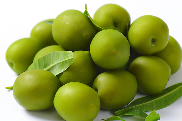 포토 JPG 해외이미지 스튜디오촬영 실내 사람없음 여러개 흰배경 올리브 올리브잎 해외202004 해외202105 해외포토 열매 다수 백그라운드 잎 내부 흰색 파일형식