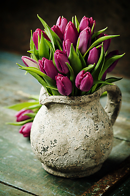 포토 JPG 해외이미지 꽃잎 실내 사람없음 꽃병 튤립 나무탁자 해외202004 해외포토 꽃 탁자 내부 파일형식