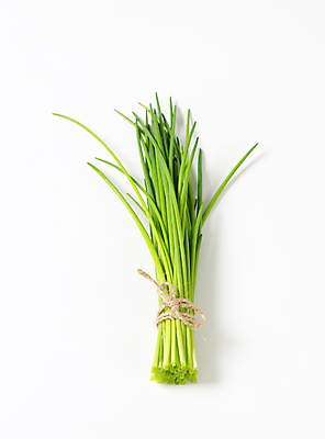 포토 JPG 해외이미지 스튜디오촬영 식물 줄 음식 잎 재료 양파 요리 사람없음 초록색 신선 다발 허브 보따리 흰배경 유기농 날것 향료 쪽파 고립 해외202004 해외202105 해외포토 웰빙 컬러 백그라운드 채소 실내 흰색 향기 냄새 파 파일형식