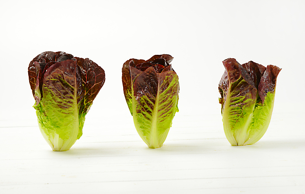 포토 JPG 해외이미지 스튜디오촬영 음식 잎 채소 재료 건강 3 서기 사람없음 빨간색 초록색 샐러드 신선 상추 유기농 날것 국산 내추럴 숙성 로메인상추 해외202004 해외202105 해외포토 식물 웰빙 컬러 모션 실내 파일형식