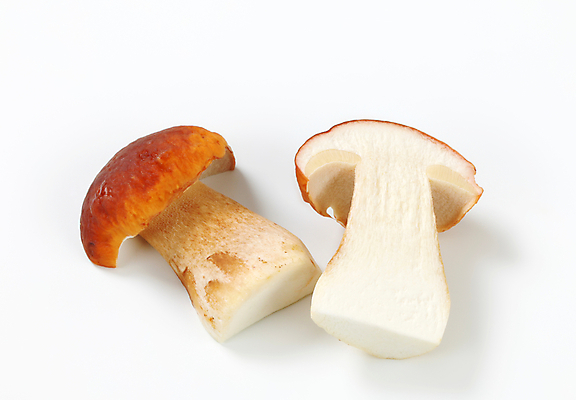 포토 JPG 해외이미지 스튜디오촬영 식재료 단면 실내 사람없음 흰배경 그물버섯 해외202004 해외202105 해외포토 백그라운드 내부 버섯 흰색 파일형식