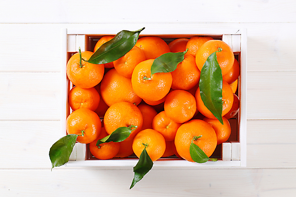 포토 JPG 해외이미지 스튜디오촬영 잎 귤 사람없음 하이앵글 쌓기 신선 가득함 흰배경 담기 해외202004 해외202105 해외포토 식물 뷰포인트 백그라운드 과일 모션 실내 흰색 파일형식