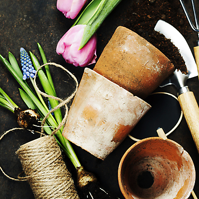포토 JPG 해외이미지 꽃 화분 근접촬영 사람없음 흙 튤립 모종삽 원예 노끈 원예용품 갈색배경 해외202004 해외포토 식물 줄 뷰포인트 생활용품 백그라운드 취미 갈색 삽 파일형식