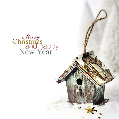 포토 JPG 해외이미지 크리스마스 타이포그라피 사람없음 눈 흰배경 새장 카피스페이스 해외202004 해외포토 자연요소 문자 기념일 백그라운드 날씨 공백 흰색 케이지 파일형식