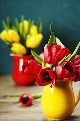 포토 JPG 해외이미지 꽃다발 실내 사람없음 아웃포커스 꽃병 튤립 원예 파란배경 해외202004 해외포토 꽃 백그라운드 촬영기법 취미 내부 파란색 파일형식