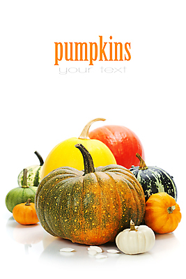 포토 JPG 해외이미지 호박 실내 종류 타이포그라피 사람없음 농작물 다양 가을 흰배경 카피스페이스 해외202004 해외포토 문자 계절 다수 백그라운드 농업 채소 내부 공백 흰색 파일형식