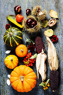 포토 JPG 해외이미지 열매 꽃 낙엽 호박 실내 사람없음 농작물 가을 밤 밤송이 나무바닥 호두 흑찰옥수수 해외202004 해외포토 식물 계절 잎 농업 채소 바닥 내부 견과류 밤_견과류 찰옥수수 파일형식