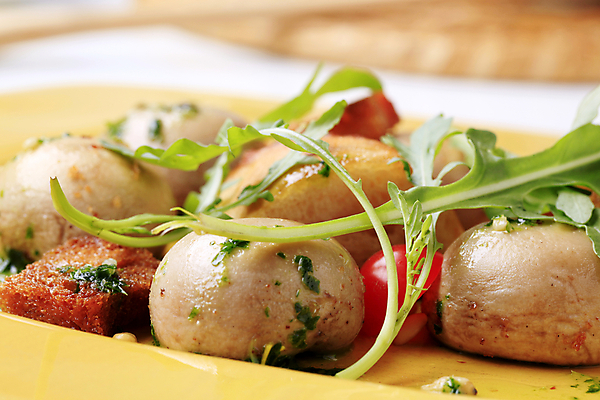 포토 JPG 해외이미지 접시 음식 빵 반찬 건강 사람없음 버섯 샐러드 튀김 묘사 루꼴라 반주 절임 채식주의자 크루통 비건 페스토 해외202004 해외202105 해외포토 식기 채소 소스_음식 채식 파일형식