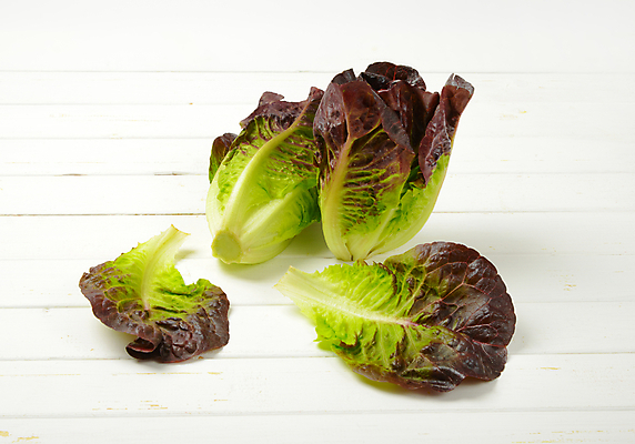 포토 JPG 해외이미지 스튜디오촬영 음식 잎 채소 재료 건강 사람없음 빨간색 초록색 샐러드 신선 상추 유기농 날것 국산 내추럴 숙성 로메인상추 해외202004 해외202105 해외포토 식물 웰빙 컬러 실내 파일형식