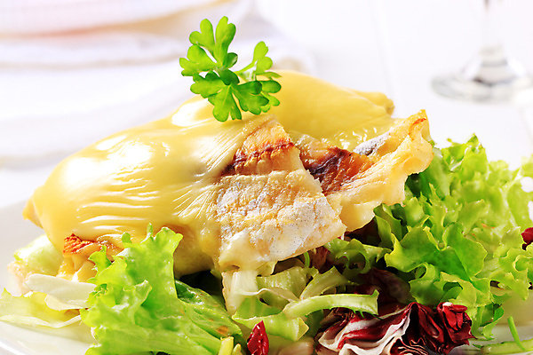 포토 JPG 해외이미지 접시 음식 치즈 건강 어류 사람없음 샐러드 튀김 상추 굽기 점심식사 앙트레 해외202004 해외202105 해외포토 식기 채소 유제품 식사 수중동물 구이 파일형식