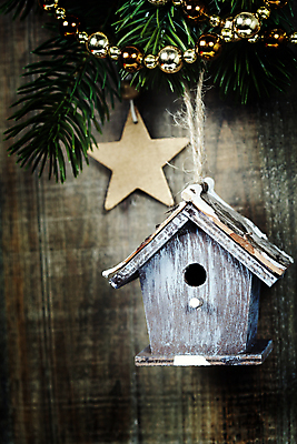 포토 JPG 해외이미지 별 크리스마스장식 크리스마스 사람없음 하이앵글 새장 나무탁자 오너먼트 해외202004 해외포토 자연요소 기념일 뷰포인트 탁자 케이지 파일형식