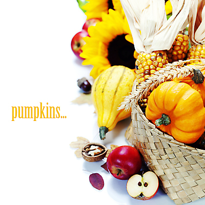 포토 JPG 해외이미지 호박 해바라기 실내 타이포그라피 사람없음 농작물 바구니 벼 가을 사과 흰배경 호두 찰옥수수 카피스페이스 해외202004 해외포토 문자 계절 꽃 백그라운드 농업 채소 과일 곡류 옥수수 내부 공백 견과류 흰색 파일형식