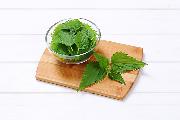 포토 JPG 해외이미지 스튜디오촬영 식물 음식 잎 재료 유리 건강 사람없음 목재 초록색 쌓기 흰색 신선 사발 허브 가득함 흙더미 나무배경 해외202004 해외202105 해외포토 나무 컬러 백그라운드 모션 재질 실내 흙 사기그릇 파일형식 더미