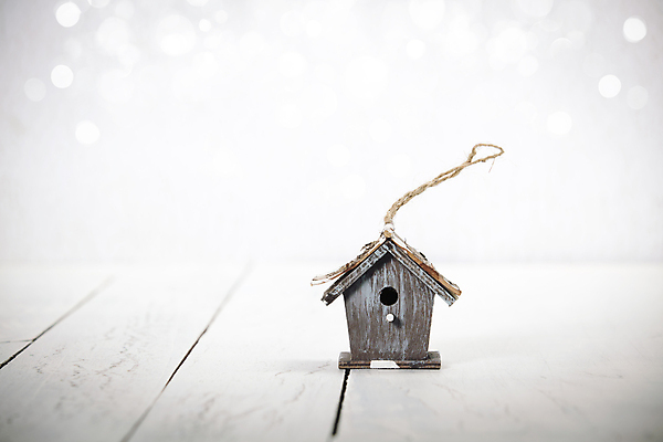 포토 JPG 해외이미지 사람없음 빛 흰배경 새장 빛망울 나무탁자 카피스페이스 해외202004 해외포토 백그라운드 탁자 공백 흰색 케이지 파일형식