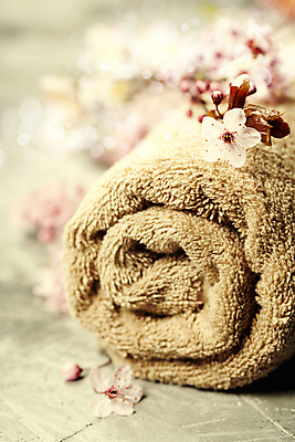 포토 JPG 해외이미지 사람없음 아웃포커스 수건 위생용품 벚꽃 스파용품 아로마테라피 해외202004 해외포토 꽃 생활용품 촬영기법 스파 오브젝트 테라피 파일형식