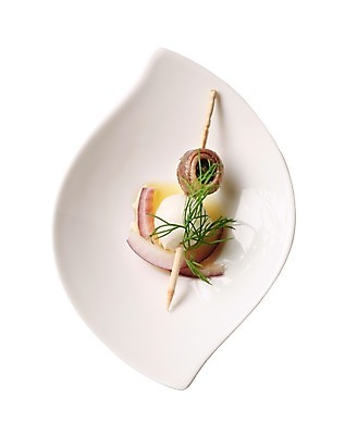 포토 JPG 해외이미지 접시 음식 양파 치즈 어류 사람없음 신선 자르기 흰배경 머리위 고립 딜 모짜렐라치즈 백자 입가심 해외202004 해외202105 해외포토 식기 백그라운드 채소 모션 유제품 수중동물 흰색 도자기 파일형식