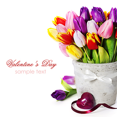 포토 JPG 해외이미지 꽃잎 리본 사람없음 튤립 하트 흰배경 해외202004 해외포토 모양 꽃 백그라운드 흰색 파일형식