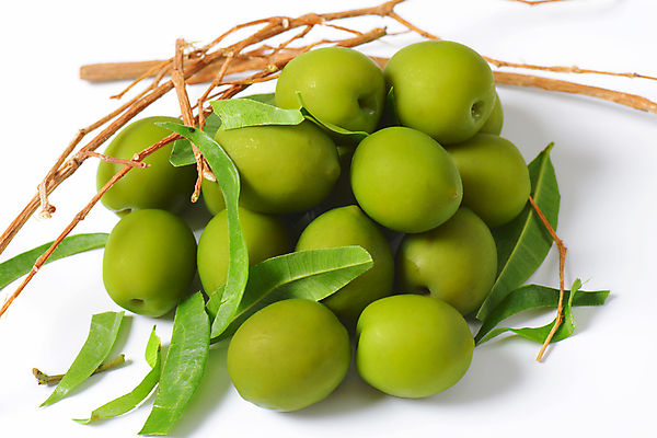 포토 JPG 해외이미지 스튜디오촬영 실내 사람없음 여러개 나뭇가지 흰배경 올리브 올리브잎 해외202004 해외202105 해외포토 나무 열매 다수 백그라운드 잎 내부 흰색 파일형식