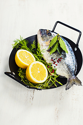 포토 JPG 해외이미지 식재료 실내 어류 사람없음 냄비 레몬 허브 해산물 흰배경 후추 로즈메리 월계수 황새치 해외202004 해외포토 식물 백그라운드 과일 내부 수중동물 흰색 솥 향신료 파일형식 새치