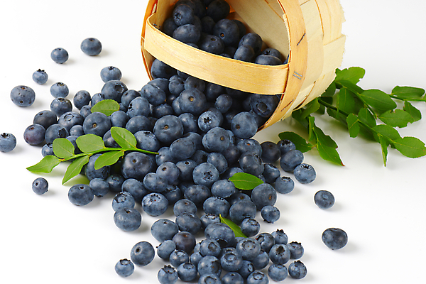 포토 JPG 해외이미지 스튜디오촬영 열매 음식 사람없음 바구니 신선 그룹 흰배경 블루베리 베리 숙성 해외202004 해외202105 해외포토 식물 백그라운드 과일 실내 흰색 파일형식