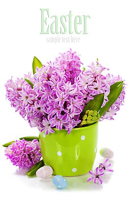 포토 JPG 해외이미지 화분 잎 부활절 실내 타이포그라피 사람없음 흰배경 원예 부활절계란 히아신스 카피스페이스 해외202004 해외포토 식물 문자 기념일 꽃 백그라운드 취미 내부 계란 공백 흰색 파일형식