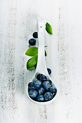 포토 JPG 해외이미지 잎 사람없음 숟가락 블루베리 블랙베리 해외202004 해외포토 식물 과일 수저 파일형식