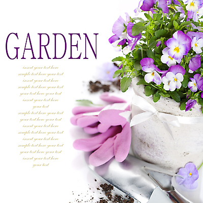 포토 JPG 해외이미지 꽃 화분 근접촬영 타이포그라피 사람없음 흙 모종삽 제비꽃 흰배경 원예 목장갑 원예용품 카피스페이스 해외202004 해외포토 식물 문자 뷰포인트 생활용품 장갑 백그라운드 취미 공백 흰색 삽 파일형식