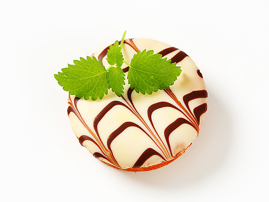 포토 JPG 해외이미지 스튜디오촬영 음식 디저트 사람없음 쿠키 케이크 초콜릿 얼음 흰색 대접 달콤 컵케이크 굽기 가득함 네덜란드 흰배경 머리위 미니 살구 프로스팅 해외202004 해외202105 스펀지케이크 해외포토 자연요소 유럽 컬러 백그라운드 과일 실내 맛 구이 제빵 파일형식