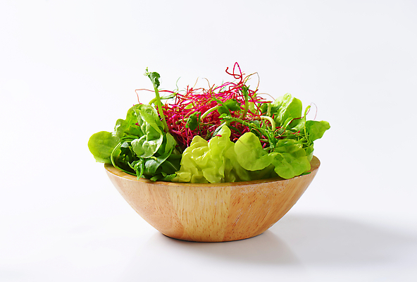 포토 JPG 해외이미지 스튜디오촬영 음식 잎 채소 재료 반찬 건강 사람없음 초록색 새싹 보라색 샐러드 신선 사발 상추 유기농 완두콩 반주 비트 채식주의자 비건 해외202004 해외202105 해외포토 식물 웰빙 컬러 콩 실내 사기그릇 채식 파일형식