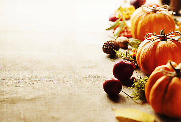 포토 JPG 해외이미지 리본 호박 실내 사람없음 농작물 가을 체리 솔방울 베이지색배경 카피스페이스 해외202004 해외포토 계절 백그라운드 농업 채소 과일 내부 공백 베이지색 파일형식