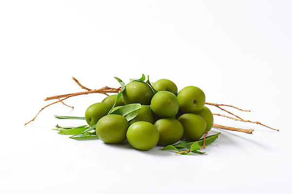포토 JPG 해외이미지 스튜디오촬영 실내 사람없음 여러개 나뭇가지 흰배경 올리브 올리브잎 해외202004 해외202105 해외포토 나무 열매 다수 백그라운드 잎 내부 흰색 파일형식