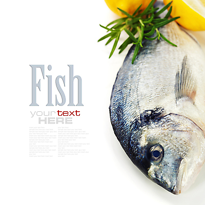 포토 JPG 해외이미지 식재료 실내 어류 타이포그라피 사람없음 레몬 해산물 흰배경 로즈메리 황새치 카피스페이스 해외202004 해외포토 문자 백그라운드 과일 내부 수중동물 공백 흰색 허브 파일형식 새치