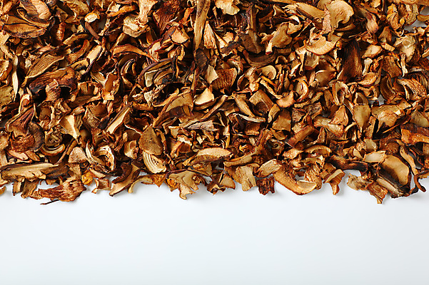 포토 JPG 해외이미지 건조 실내 사람없음 하이앵글 버섯 흰배경 카피스페이스 해외202004 해외202105 해외포토 뷰포인트 백그라운드 내부 공백 흰색 파일형식