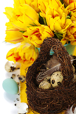 포토 JPG 해외이미지 화분 꽃다발 부활절 실내 사람없음 바구니 튤립 껍질 깃털 흰배경 부활절계란 메추리알 해외202004 해외포토 기념일 꽃 백그라운드 내부 계란 알 흰색 파일형식