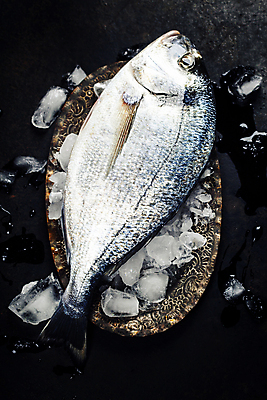 포토 JPG 해외이미지 접시 검은배경 실내 어류 사람없음 하이앵글 얼음 레몬 해산물 해외202004 해외포토 자연요소 식기 뷰포인트 백그라운드 과일 내부 검은색 수중동물 파일형식