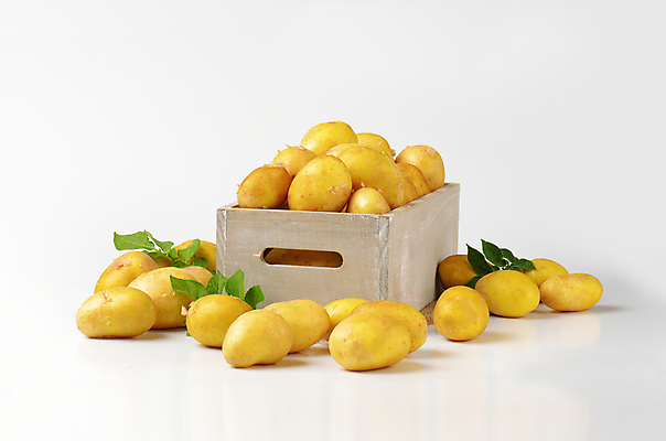 포토 JPG 해외이미지 스튜디오촬영 음식 채소 감자 사람없음 목재 농작물 상자 쌓기 수확 신선 그룹 컨테이너 유기농 날것 흙더미 생식 해외202004 해외202105 해외포토 나무 웰빙 산업 농업 재료 모션 실내 흙 파일형식 더미