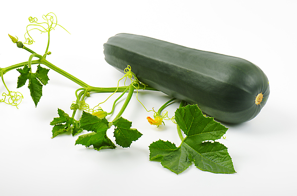 포토 JPG 해외이미지 스튜디오촬영 식물 음식 줄기 잎 채소 과일 호박 사람없음 초록색 신선 흰배경 날것 스쿼시 숙성 주키니 주키니호박 해외202004 해외202105 해외포토 스포츠 컬러 백그라운드 실내 구기 흰색 파일형식