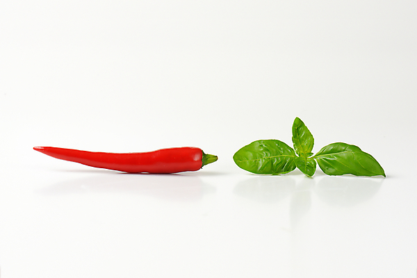 포토 JPG 해외이미지 고추 실내 사람없음 흰배경 바질 해외202004 해외202105 해외포토 백그라운드 채소 내부 흰색 파일형식