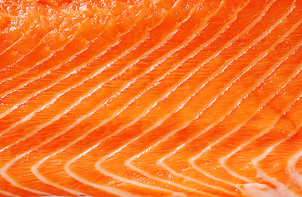 포토 JPG 해외이미지 음식 백그라운드 오렌지 건강 어류 사람없음 신선 횡단보도 묘사 질감 날것 머리위 연어 송어 해외202004 해외202105 송어회 해외포토 과일 수중동물 생선회 보행로 파일형식